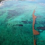 Virgin Islands Ritz Carlton Plans To Deploy Sargassum Barriers