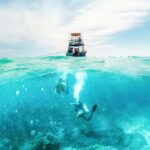Cozumel Tests Offshore Sargassum Artificial Reef